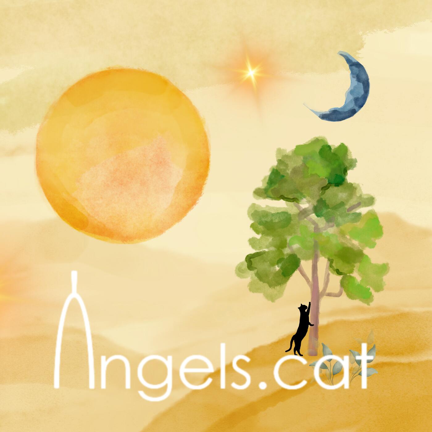 A Catalonian Voice Echoing Beyond the Silence - Àngels.cat  Presents a Fusion of Rich Symphonies
