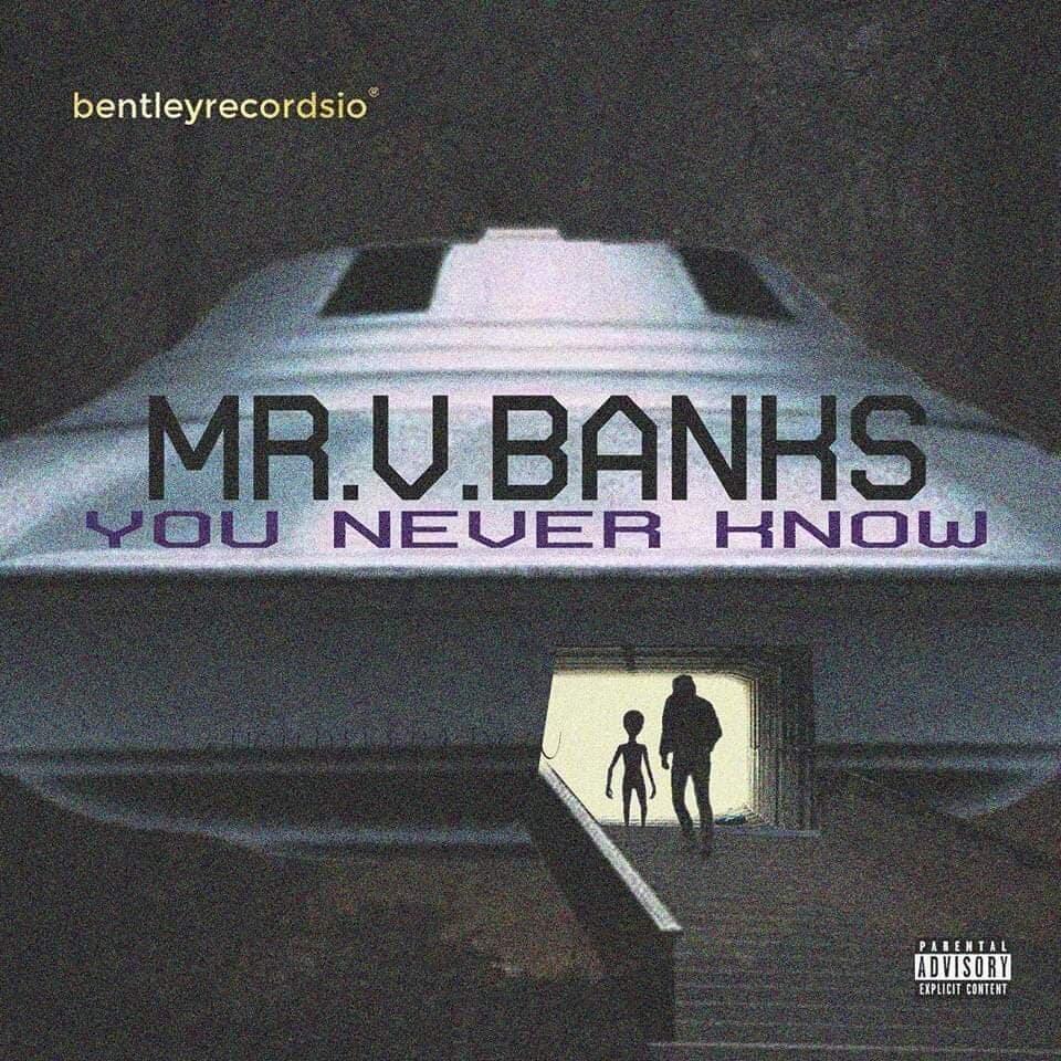 Discover the Essence of Life's Uncertainties in “You Never Know” by Mr. V. Banks