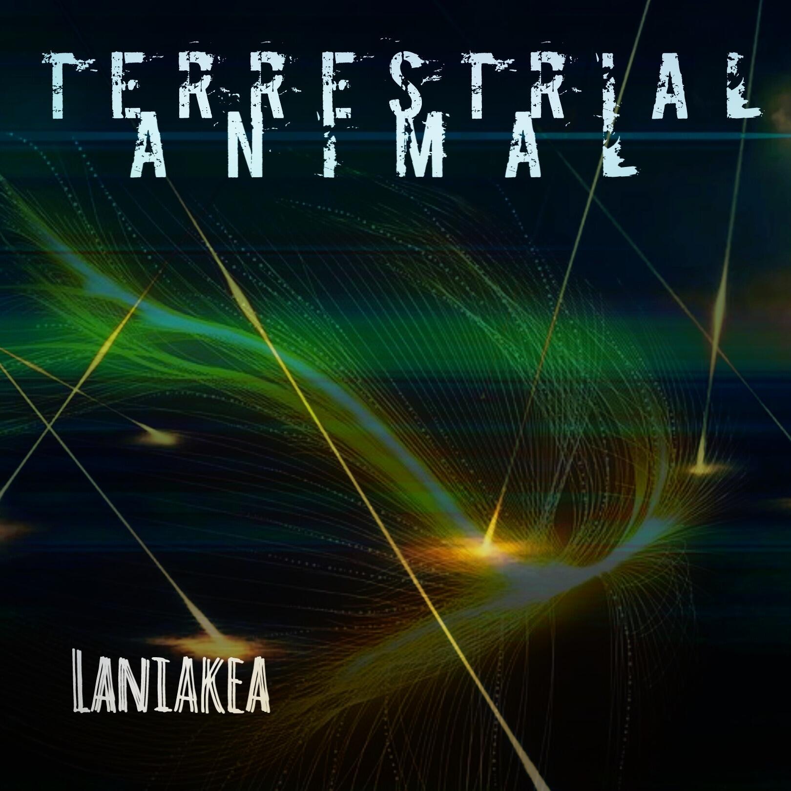 Let Your Mind Open Wide And Consume Yourself With The Ambient Soundscapes Of Terrestrial Animal.