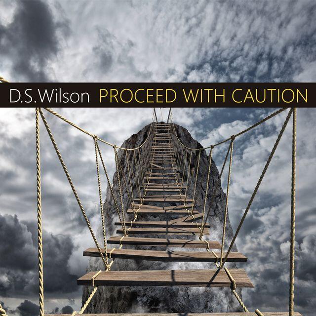 New Single From D.S. Wilson Just Released