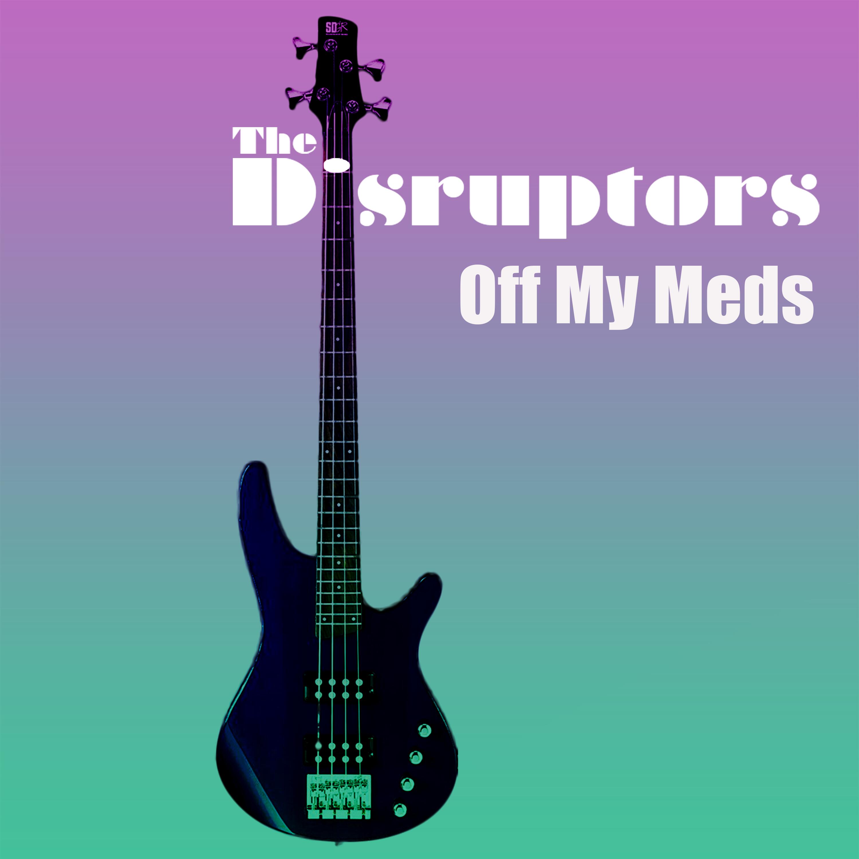 The Disruptors Tell Intimate Stories Capturing Soul of Indie Pop